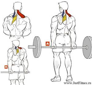 Standing shrugs with a barbell behind your back