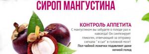 Mangosteen syrup Moscow
