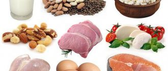 how much protein is absorbed in one meal
