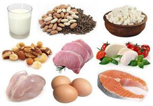 how much protein is absorbed in one meal