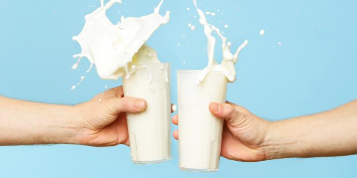how much protein is in milk