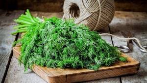 How many calories are in 100 grams of dill?