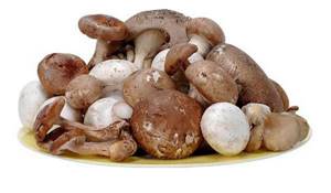 how many calories are in mushrooms