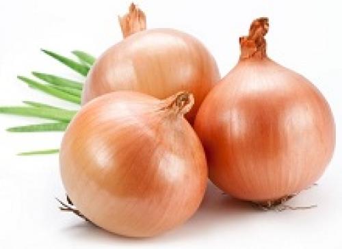 How many calories are in onions? Composition and calorie content of onions 