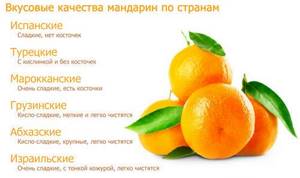 How many calories are in tangerine: sugar content, proteins, fats, carbohydrates, health benefits and harm