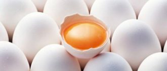 How many eggs should you eat per day to gain muscle mass? Nutrition tips 