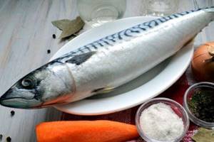 Spicy salted mackerel at home. Recipe with photo, whole, pieces 