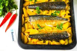 Mackerel with potatoes in the oven