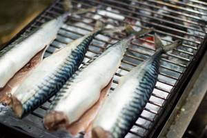 mackerel in the oven is quick and tasty