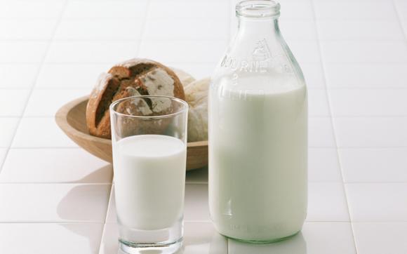 snowball fermented milk product benefits and harms