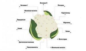Composition of cauliflower