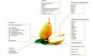 Composition of pear