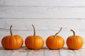 Composition and nutritional value of pumpkin