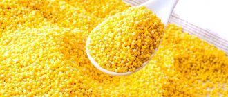 Composition and beneficial properties of millet (millet)