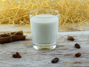 Composition and benefits of kefir