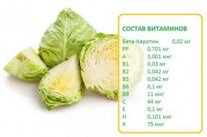 Composition of cabbage