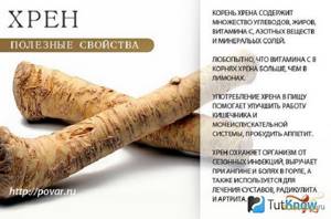 Information about the benefits of horseradish