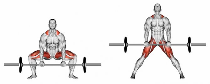 sumo deadlift what muscles work
