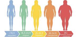 BMI degrees