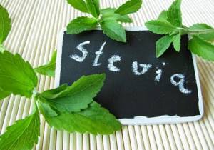 Stevia for weight loss