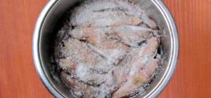 Dry salting of blue whiting
