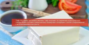 Tofu cheese - benefits and harms, reviews and how much you can eat per day. Recipes for weight loss, athletes, pregnant women 
