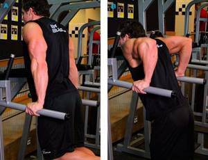 Technique for triceps dips