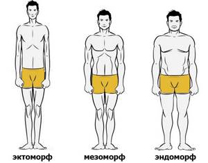 Body type test