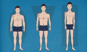Body types in men