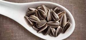 Do roasted sunflower seeds make you fat?