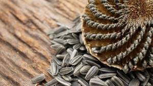 Do roasted sunflower seeds make you fat?