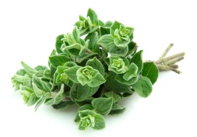 Bardakosh herb for weight loss