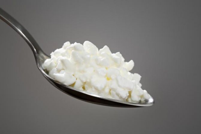 Is cottage cheese protein or carbohydrates?