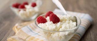 cottage cheese diet for weight loss by 10 kg per week menu