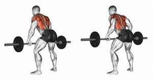 Barbell row to the waist