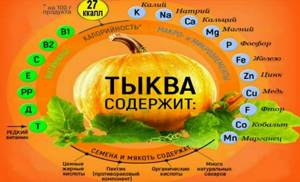 Pumpkin puree soup. Calorie content per 100 grams, benefits, harm, dietary supplements. Classic recipe, dietary 