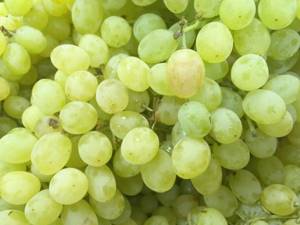 You should not eat grapes if you have a stomach ulcer.