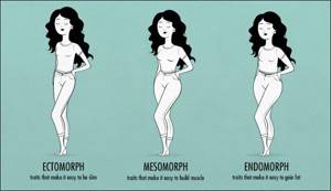 Exercises for an ectomorph woman