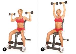 Exercises for gaining muscle mass for girls at home and in the gym, basic and basic. Training program 