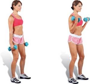 Упражнения для набора мышечной массы для девушек дома и в тренажерном зале, основные и базовые. Программа тренировок