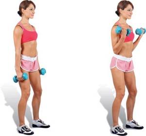 Exercises for losing weight on arms and shoulders for women with and without dumbbells, with photos and videos