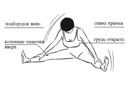 Exercises to stretch leg muscles at home for splits, strength training, fitness