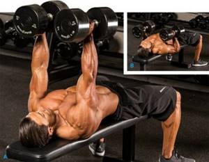 Exercises with dumbbells at home. Training program for women and men: pumping up arms, body muscles, gaining weight 