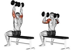 Exercises with dumbbells at home. Training program for women and men: pumping up arms, body muscles, gaining weight 