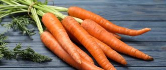 В чем польза моркови