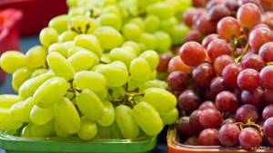 Grapes contain a lot of sugar.