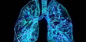 Ventilation and gas exchange in the lungs - Alkoklinik