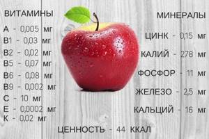 Vitamin and mineral composition of apple