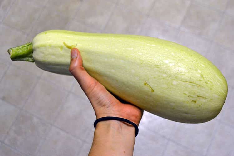 Vitamin composition of zucchini and their calorie content