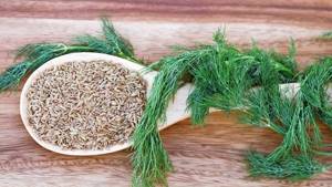A tasty and healthy way to fight excess weight: dill for weight loss
